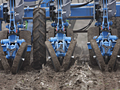 siew rzepaku Strip-Till