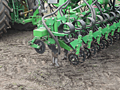 siew rzepaku Strip-Till